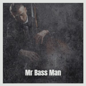 Mr Bass Man