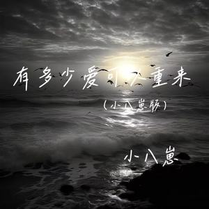 有多少爱可以重来 (小八崽版)