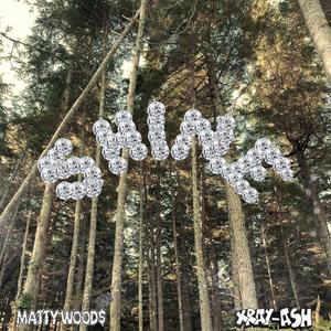 SHINE (feat. Matty Wood$) [Explicit]