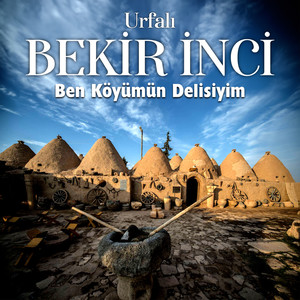 Bir Tenhada Gör Halimi