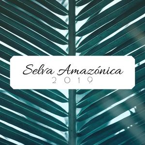 Selva Amazónica 2019: 1 Hora de Música Relajante para Trabajar y Estudiar con Sonidos de la Naturaleza