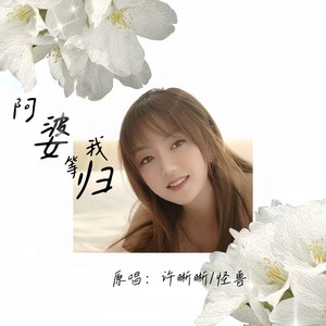 阿婆等我归