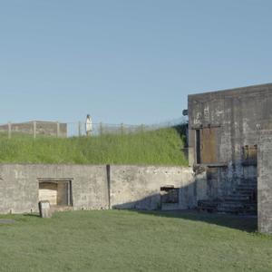 WALLFLOWER(feat. Erin Jarrett)