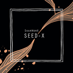 SEED-X