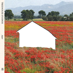 TreeHouse Studios - Aster