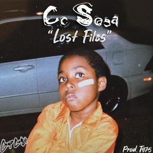 Lost Files (Explicit)