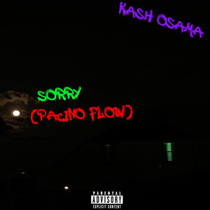 SORRY (PACINO FLOW) [Explicit]