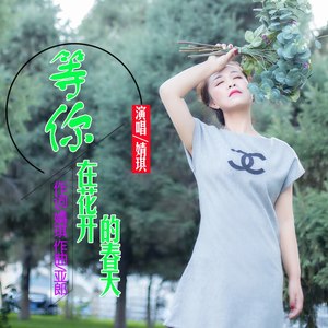 等你在花开的春天封面