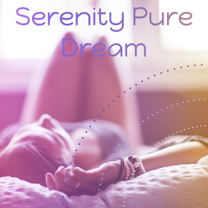 Serenity Pure Dream – Oasis Sleep, Sleep Time, Ambient Music, Relaxing Night