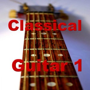 Various Artists: Guitar 1