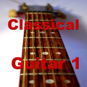 Vivaldi Concerto in Re: Part 3 : Classical Guitar