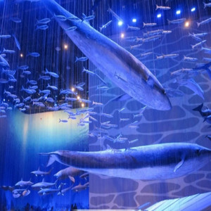 沈辉煌 - 深海回响