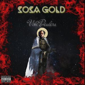 Vibe Dealers My Name Is Sosa Gold (Explicit)