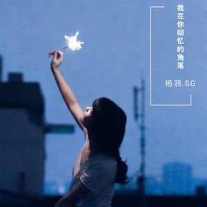 我在你回忆的角落