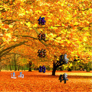 梧桐树的陪伴