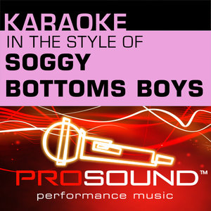 Karaoke - In the Style of Soggy Bottom Boys (Professional Performance Tracks)