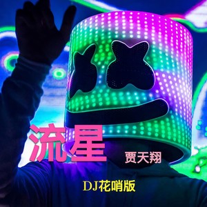 流星 (DJ花哨版)