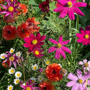 Ballad of the Man Who Never Loved Me (Explicit)