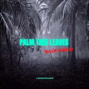 Palm Tree Leaves (Explicit)