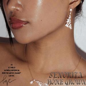 SENORITA (feat. Isaiah!*, DOM THE ARTIST, Jayden, ICY MELO & Subterical) (Explicit)