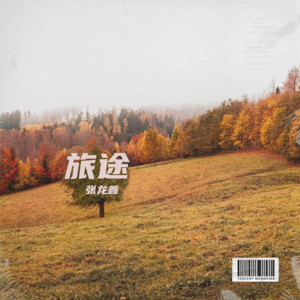 返景入深林