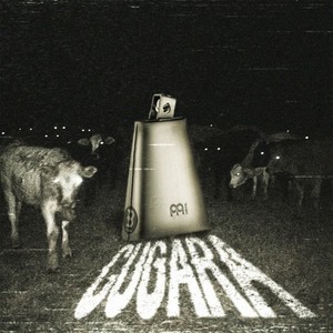 Cugara (Super Slowed + Reverbed|Explicit)