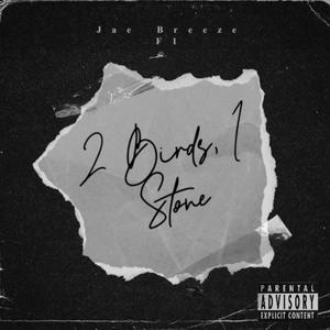 2 Birds, 1 Stone (feat. F1) [Explicit]