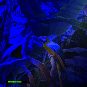 Abyss of Light (Bonus Track)