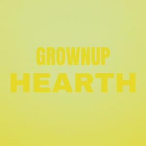 Grownup Hearth