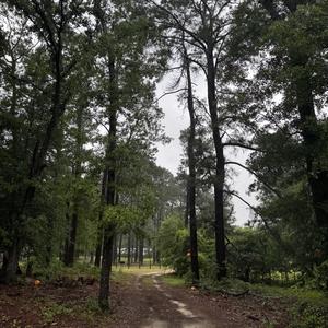 Under The Starlight (feat. Aswoona) (Explicit)