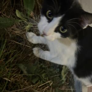 4am (feat. bbuggin) (Explicit)