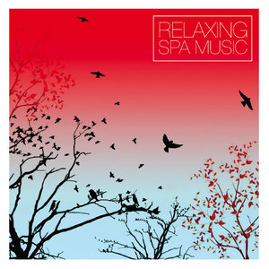 Relaxing Spa Music