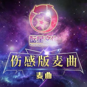 酝星伤感版麦曲1