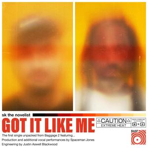 got it like me (feat. Spaceman Jones And The Motherships) [Explicit]