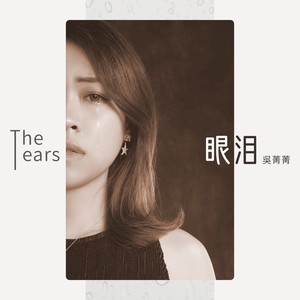 The tears(《颜值魔戒》电影主题曲)