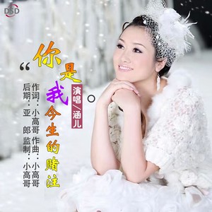 你是我今生的赌注
