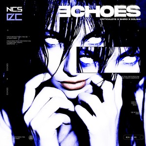 echoes (Slowed)