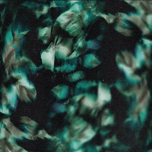 Pine Echoes