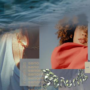 Señorita(feat. Nic Soze, Gurley, Mdnghtppl & LukeMakesBeats) (Explicit)