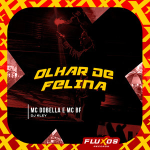 Olhar de Felina (Explicit)