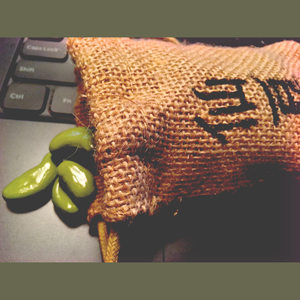 Senzu Bean  [仙豆]  ft. Sean Zh.