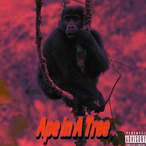 APE IN A TREE (Explicit)