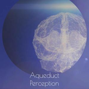 Aqueduct Perception