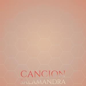 Cancion Salamandra