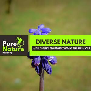 Diverse Nature - Nature Sounds from Forest Oceans and Rains, Vol.2