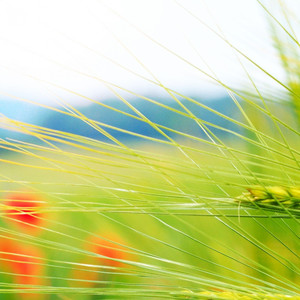 总有人教我成长 但方式不值得我感谢