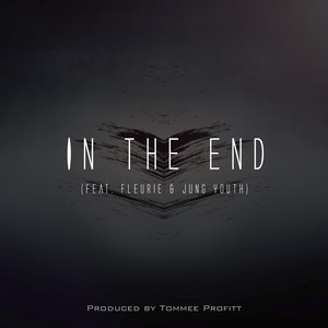 In The End (最后)
