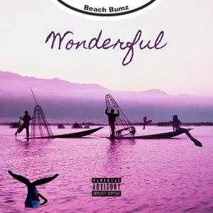 Wonderful (Explicit)