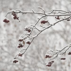 Last Christmas (Arr. for Guitar)