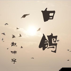 赵沛宇 - 白鸽 (伴奏)